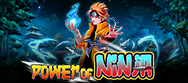Power of Ninja