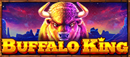 Buffalo King