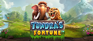 Tundra's Fortune